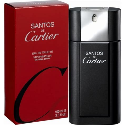 cartier santos 38|santos de cartier for men.